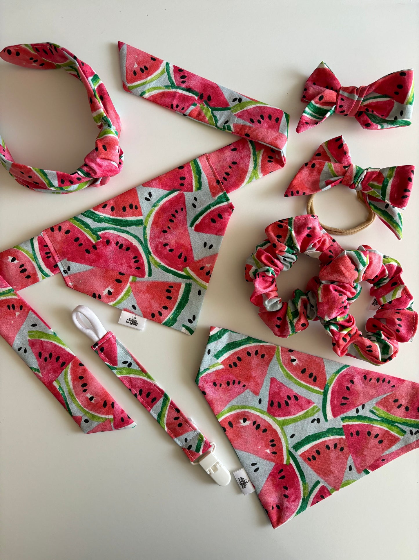 Watermelons on Baby Blue - Paci Clip