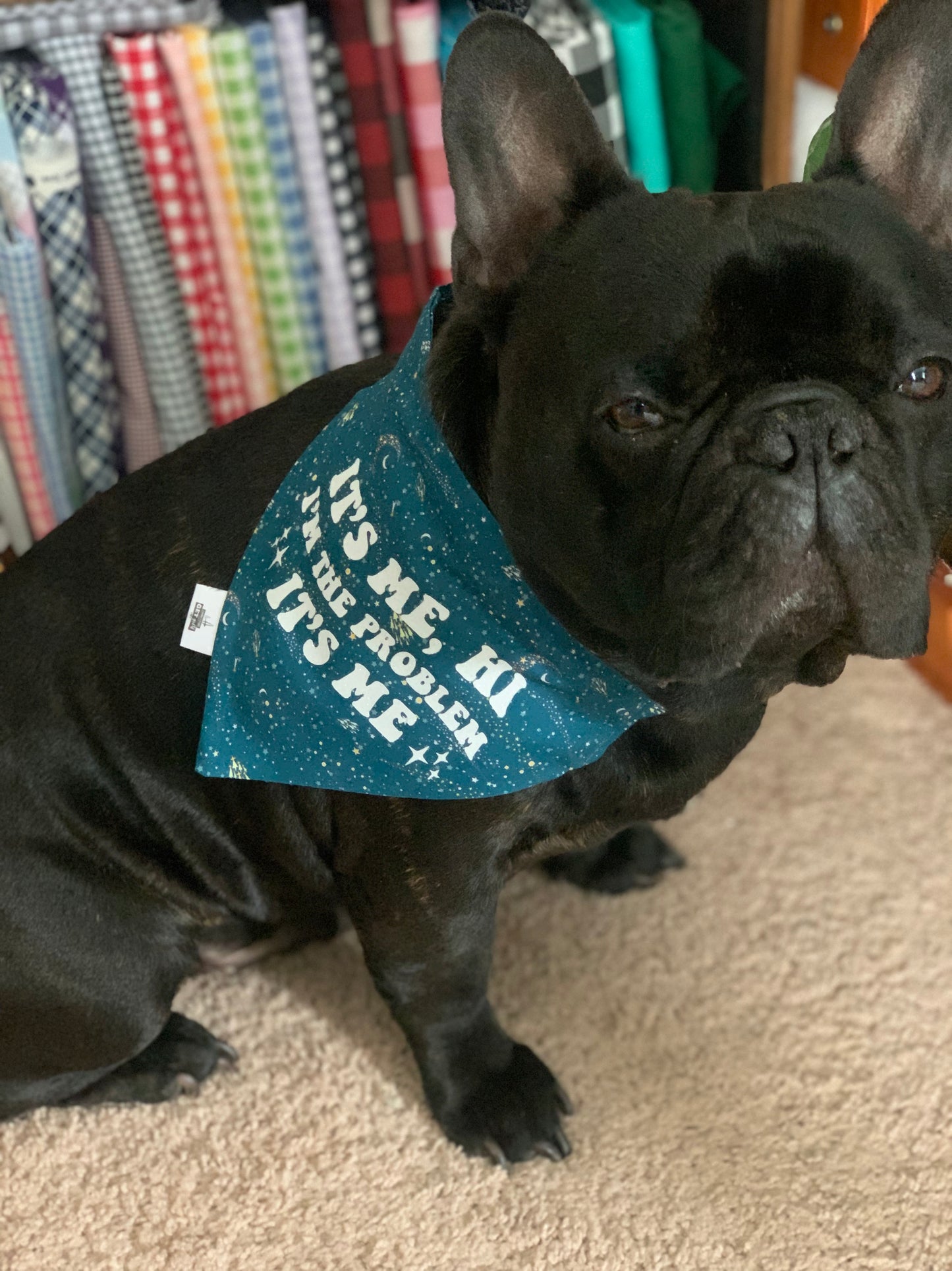 Anti Hero (2.0) - Pet Bandana