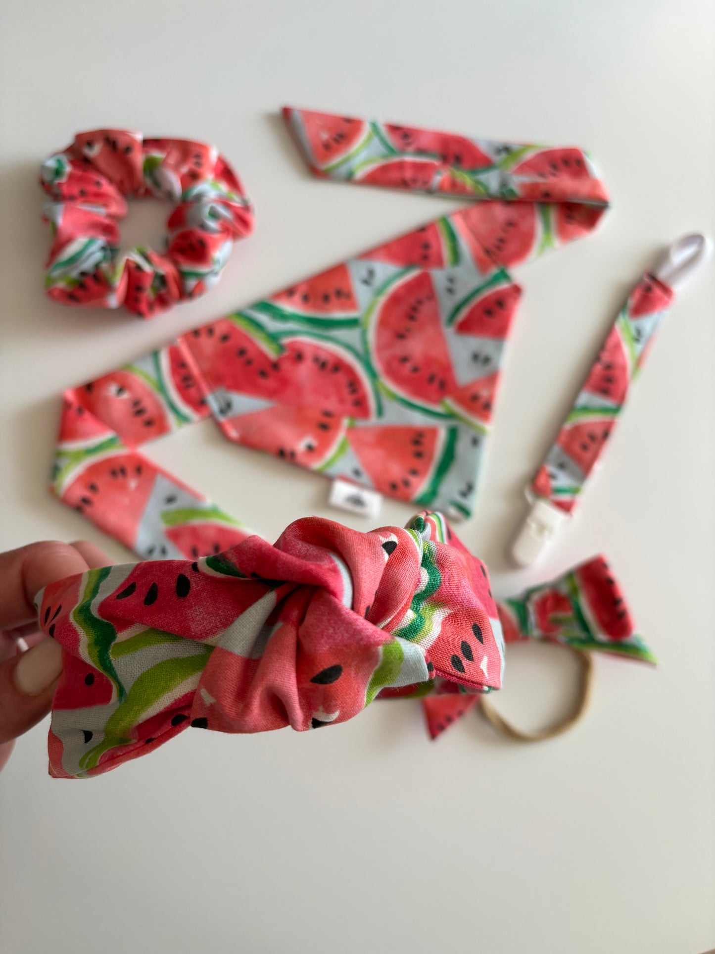 Watermelons on Baby Blue - Paci Clip