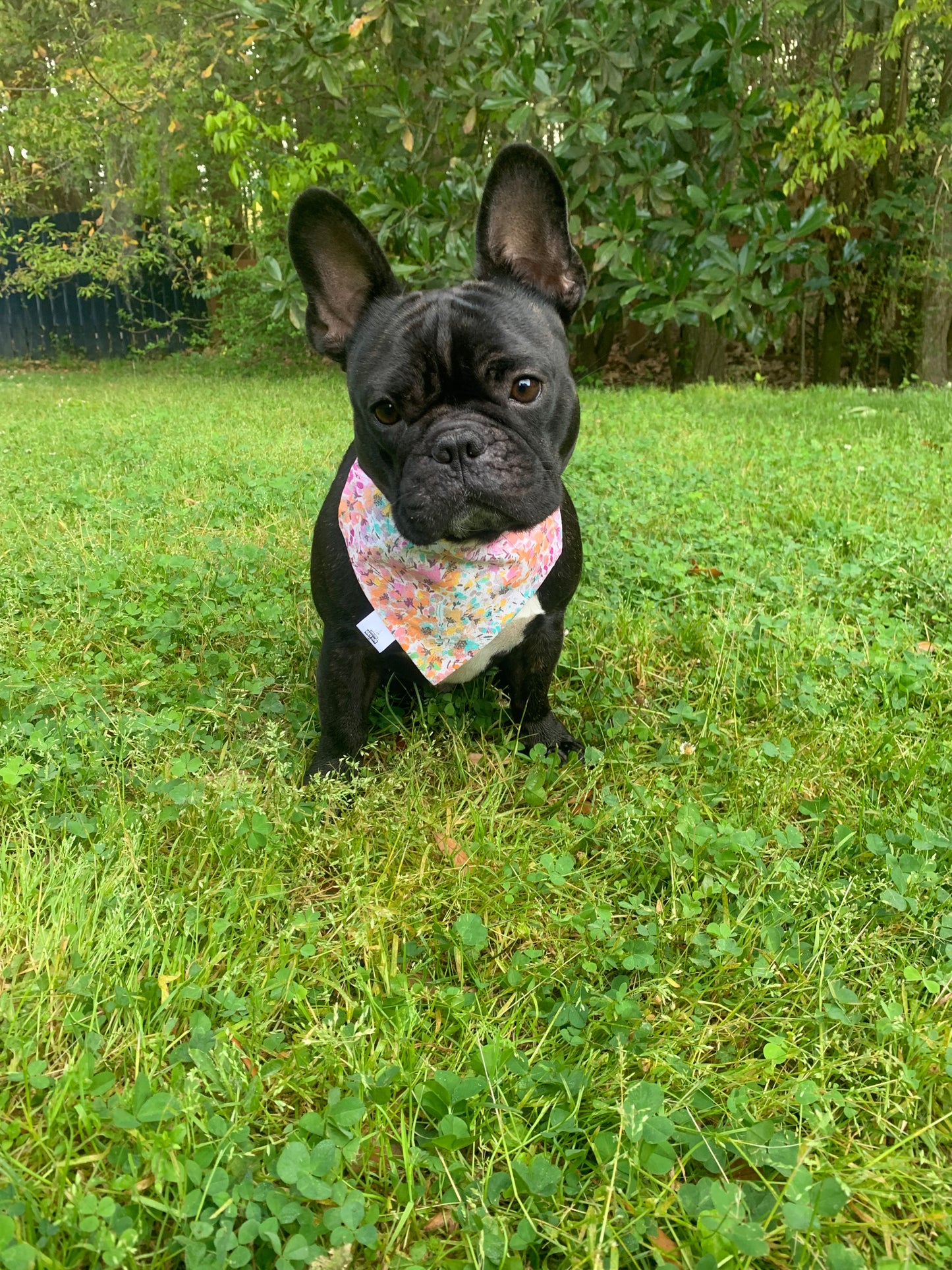 SALE - Sparkly Floral - Pet Bandana