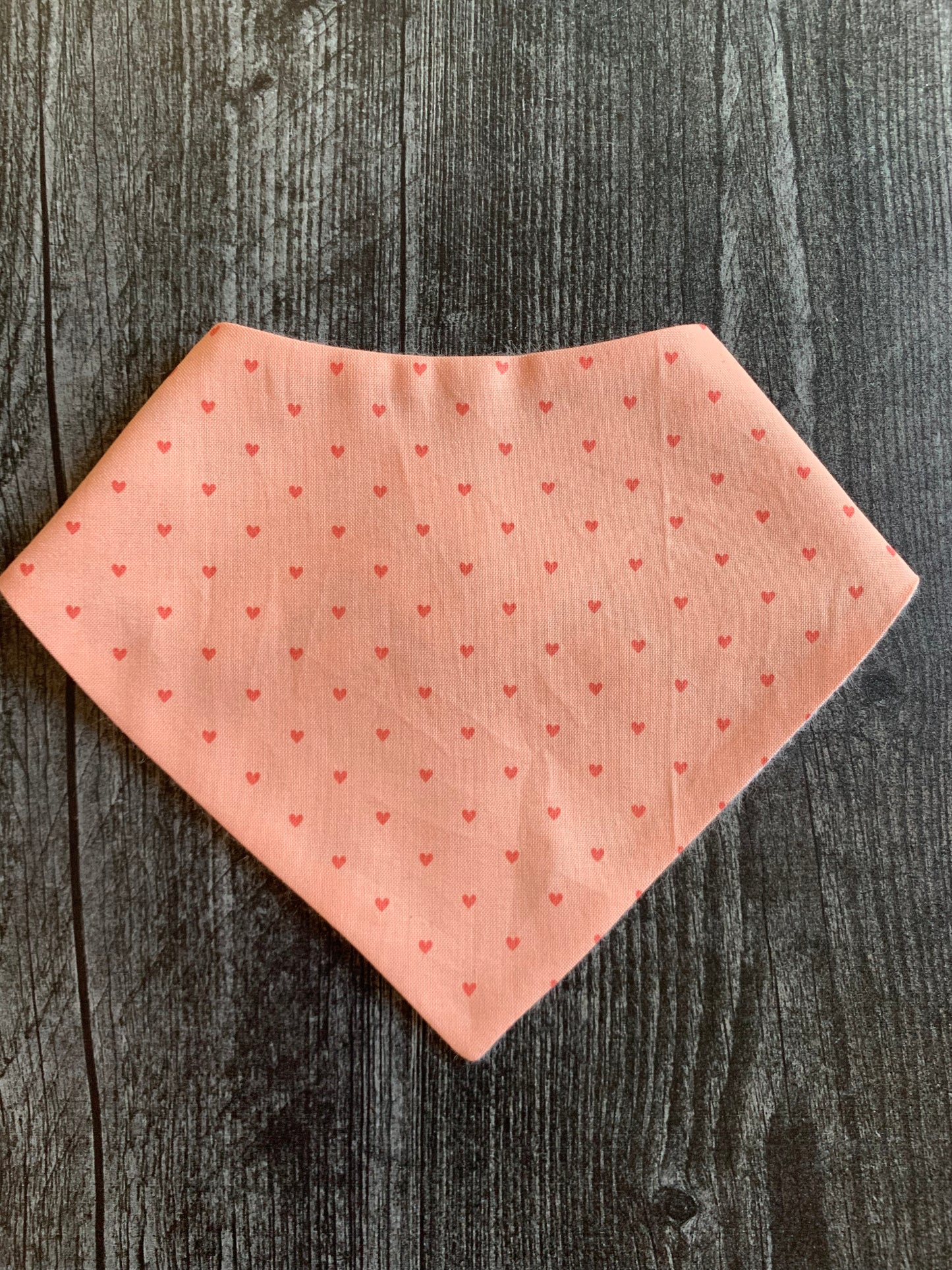 Hearts on Rose - Infant/Toddler Bandana Bib