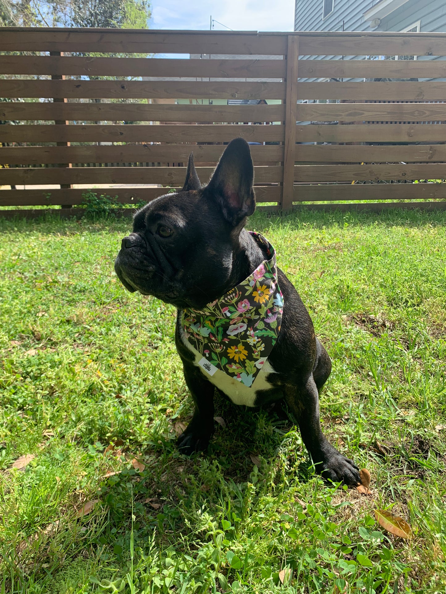 SALE - Garden Gnomes - Pet Bandana