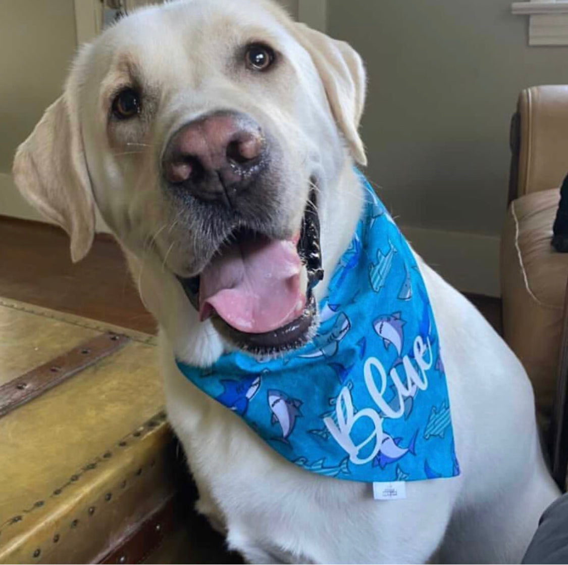 Sharks on Blue - Pet Bandana