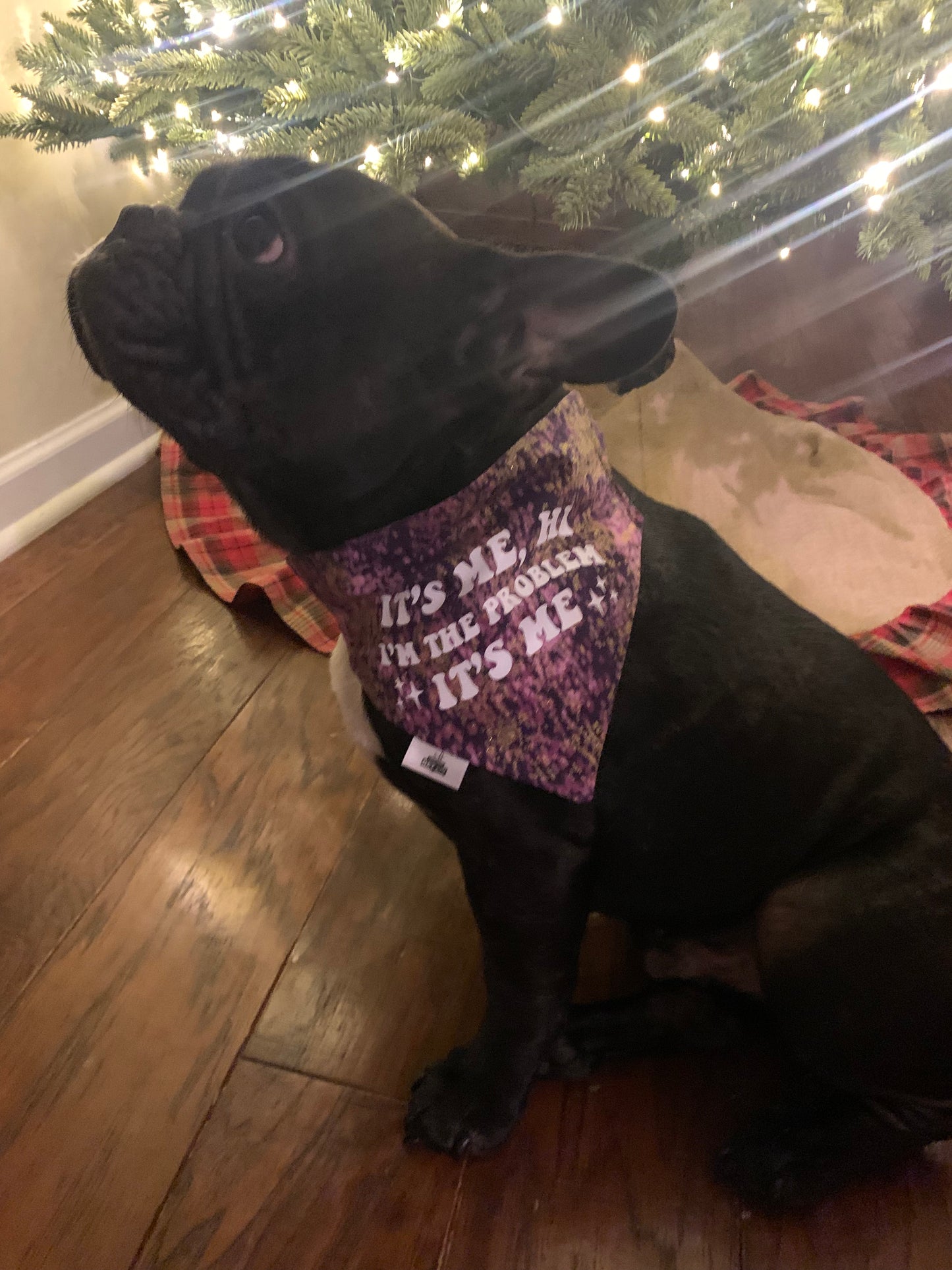 Anti-Hero - Pet Bandana
