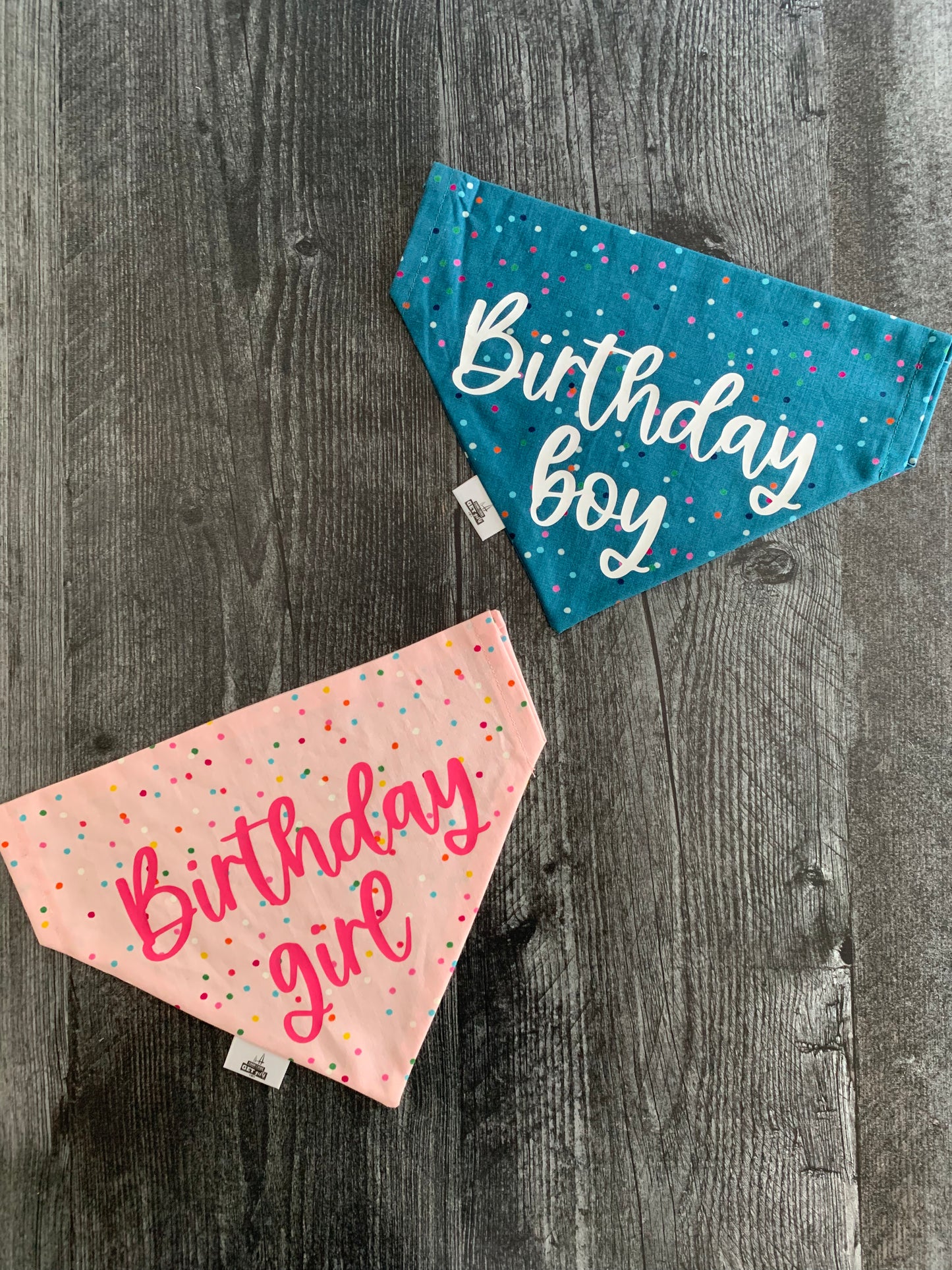 Birthday Boy - Pet Bandana