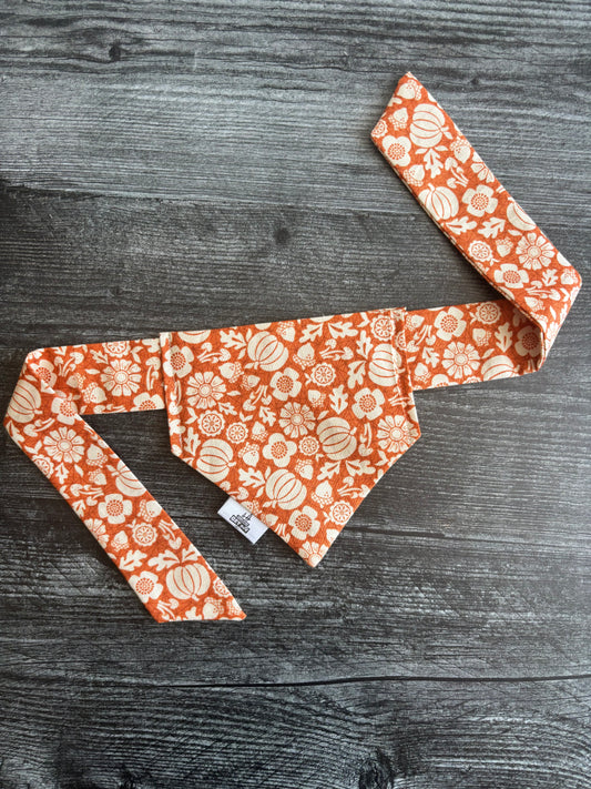 Autumn Afternoon Pumpkins - Pet Bandana