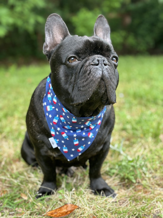 Firecracker Pops - Pet Bandana