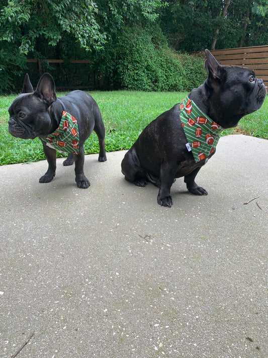 Footballs on Green - Pet Bandana