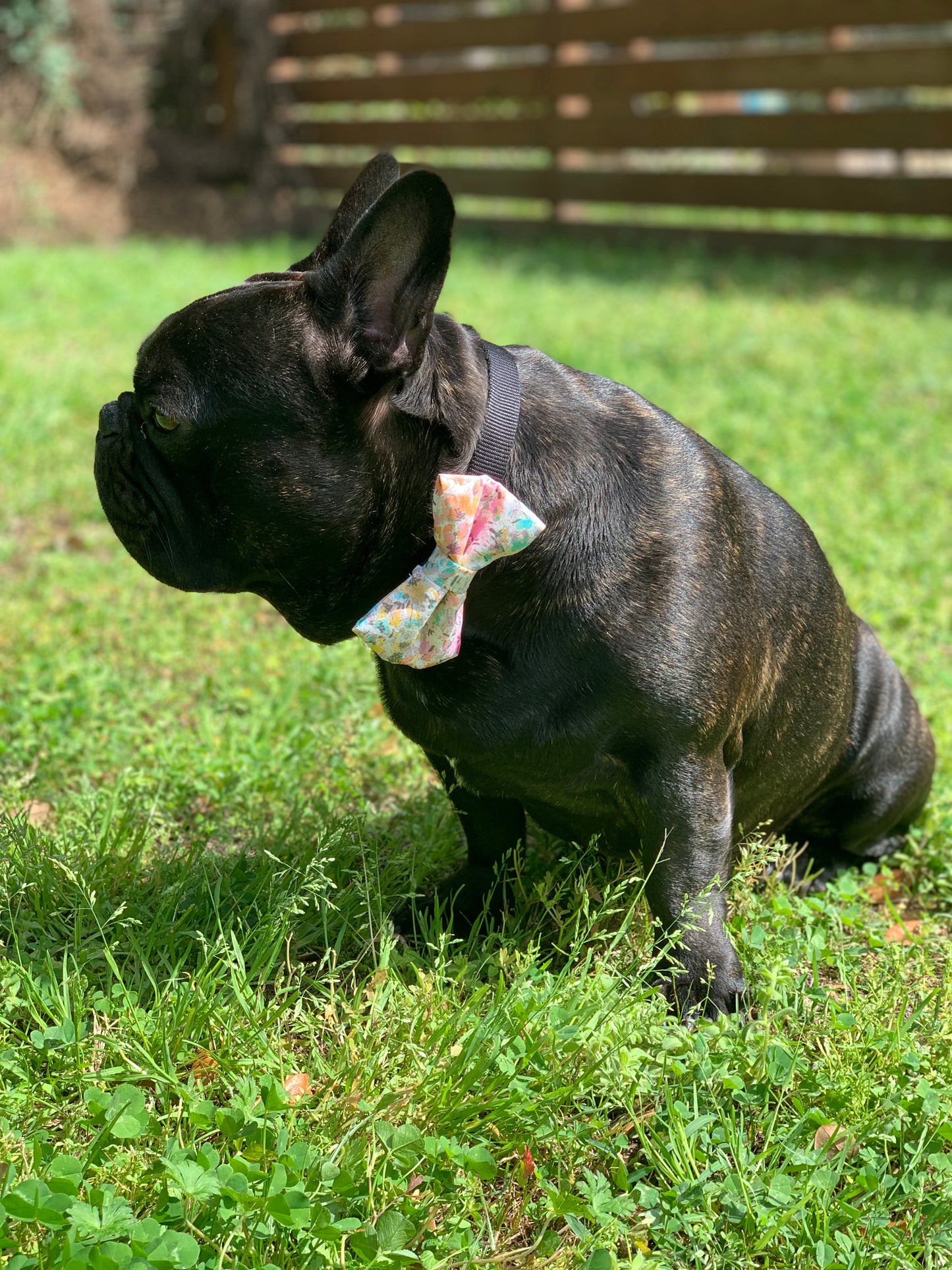 Sparkly Floral - Pet Bow Tie