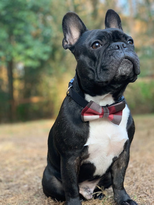 Red, Black, and White Check - Pet Bow Tie